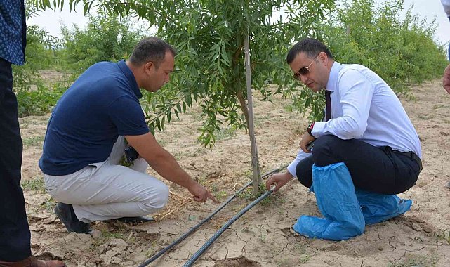 Emirdağ kent ve ülke tarımına katkı sunmaya devam ediyor
