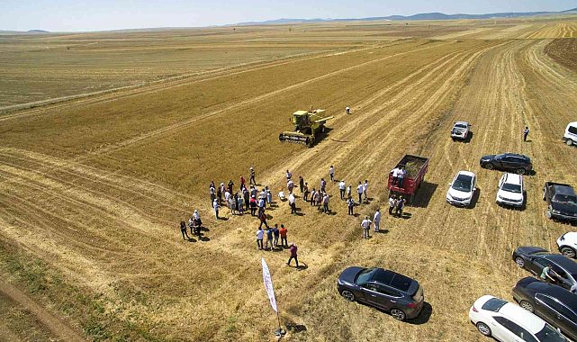 Eskişehir'de 'İyi Tarım Sertifikalı' çörekotu üretildi