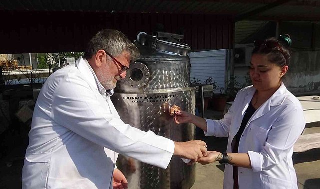 Gül yağları uzay ortamında üretilecek