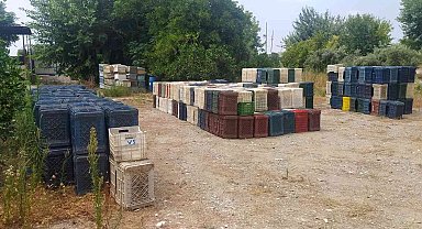 Hatay'da 963 adet narenciye kasası çalan zanlı yakalandı