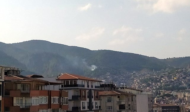 Hatay'da çıkan orman yangını kontrol altına alındı