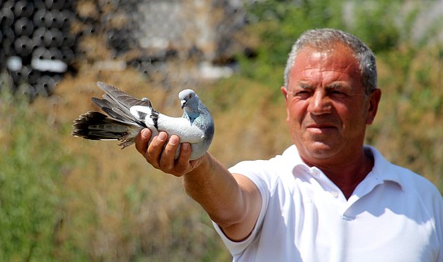 Hobi sektöre dönüştü, birçok aile bundan geçimini sağlıyor