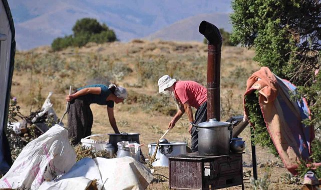 Huzur kenti Tunceli'de yaylacılar güven içerisinde dağlara çıkıp hayvancılık yapıyor