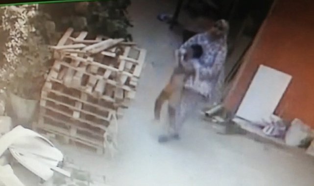 İstanbul'da dehşet anları kamerada: Balkondan düşen çocuğunu kucağında taşıdı