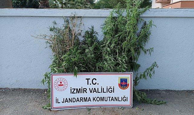 İzmir'de uyuşturucu baskınları: 27 şüpheli yakalandı