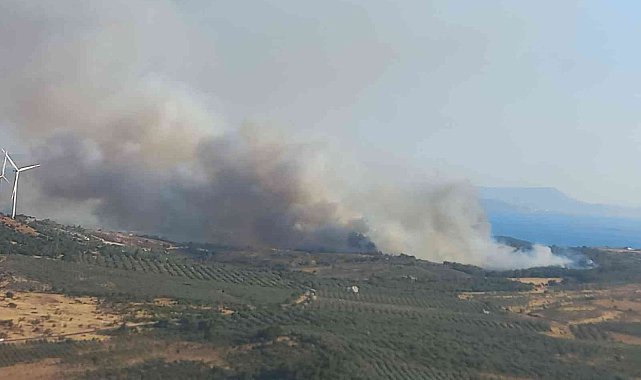 İzmir'de ziraat arazisinde çıkan yangın kontrol altına alındı