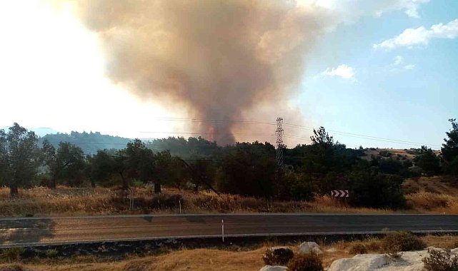 İzmir'de ziraat arazisinde yangın