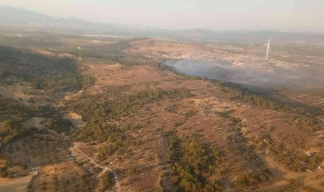 İzmir'de ziraat arazisindeki yangına müdahale ediliyor