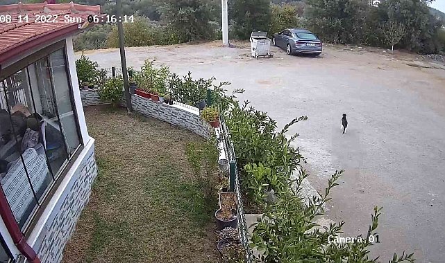 İzmir'deki 5 büyüklüğündeki deprem kamerada
