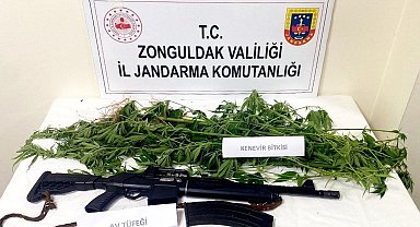 Jandarmadan Kdz. Ereğli ve Kozlu'da uyuşturucu operasyonu