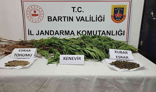 Jandarmadan uyuşturucu operasyonu; 1 gözaltı