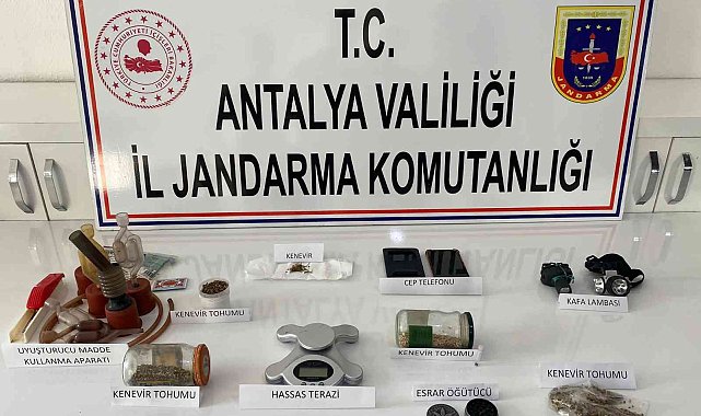 Jandarmadan uyuşturucu operasyonu