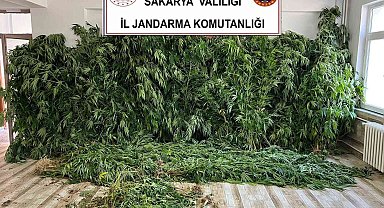 Jandarmadan uyuşturucu ve kaçak sigara operasyonu: 2 gözaltı