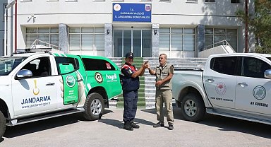 Jandarmanın uçamaz halde bulduğu yavru Benekli sinekkapan kuşu koruma altına alındı