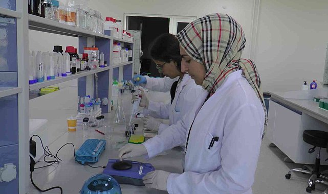 Kanser hastalarını umutlandıran gelişme