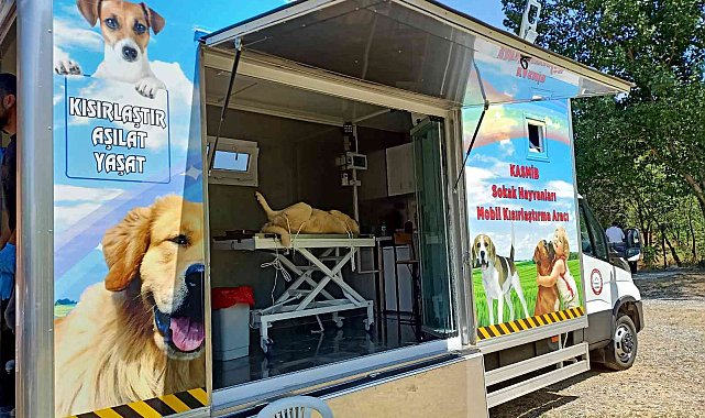 KASBİM'in mobil kısırlaştırma aracı, Araç'ta kısırlaştırma ve aşılama işlemlerine başladı