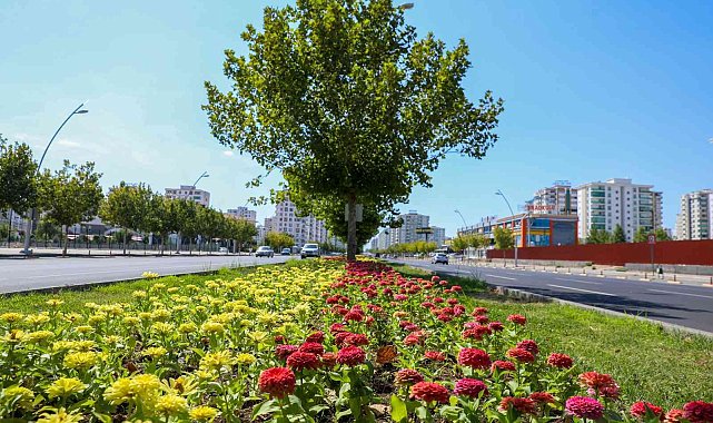 Kayapınar ilçesinde Fırat Bulvarı 75 bin 360 adet çiçekle süslendi