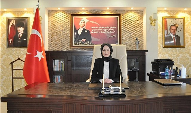 Kaymakam Büyükkılıç, Demirözü'ne veda etti