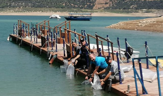 Kemer Barajı'na 150 bin balık bırakıldı
