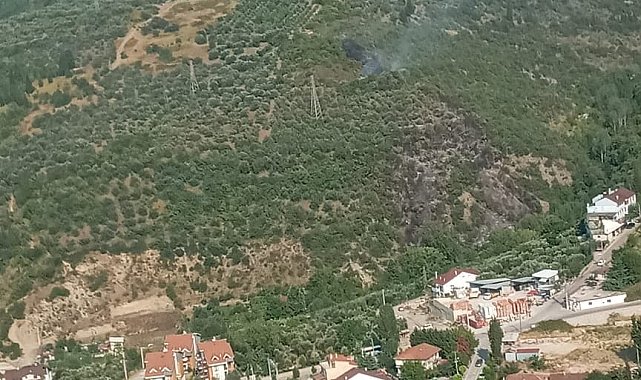 Kocaeli'deki orman yangını kontrol altına alındı