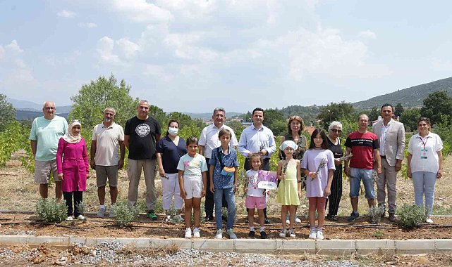 Köy yaşam merkezinde lavanta hasadı yapıldı