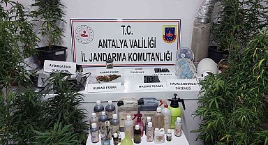 Kumluca'da jandarmadan uyuşturucu operasyonu