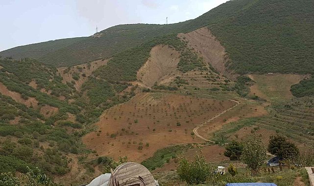 Kurtlar Vadisini ceviz fidanlarıyla yeşil vadiye dönüştürdü