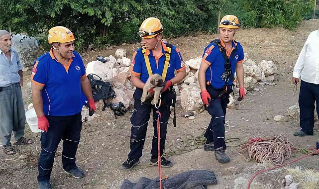 Kuyuya düşen yavru köpek kurtarıldı