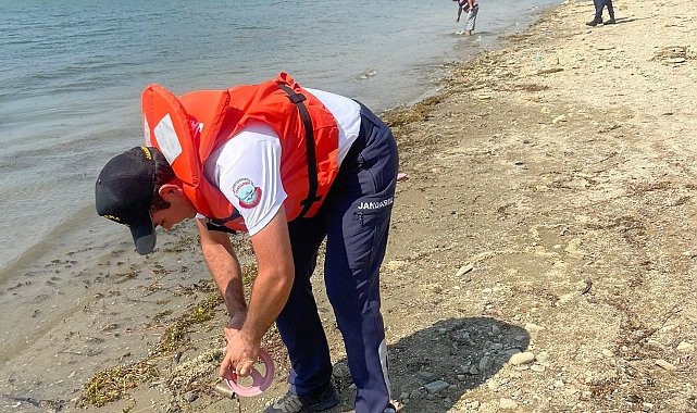 Manisa'da jandarma kaçak avcılara geçit vermedi