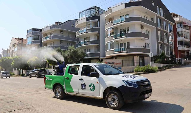 Mudanya'da sinekle mücadele