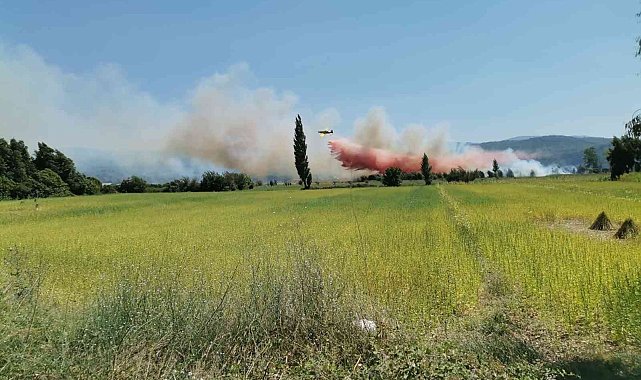 Muğla'da tarım arazinde yangın çıktı