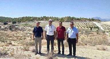 Mut'ta kayısı ıslah ve adaptasyon çalışmaları yapılacak