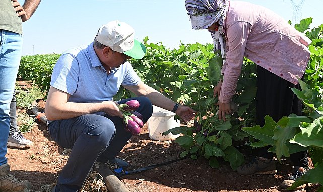Oğuzeli'nde 62 aileye sürdürülebilir geçim kaynağı