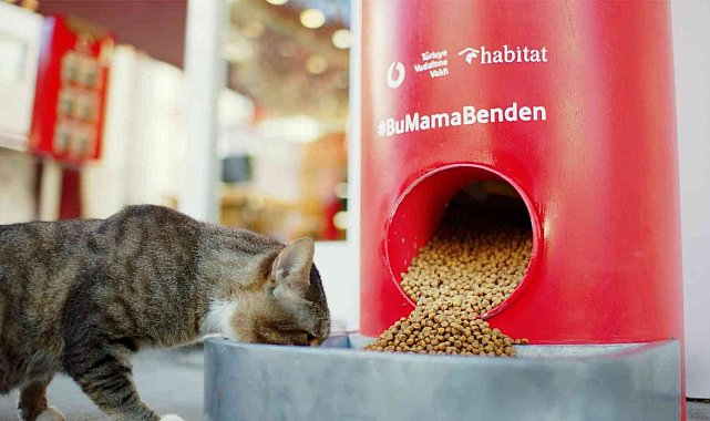 Pet shop alışverişi sokak hayvanları için mamaya dönüşüyor