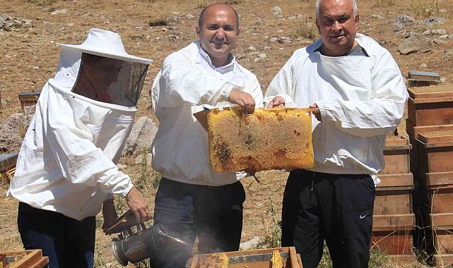 Petekler balla doldu, üreticinin yüzü güldü