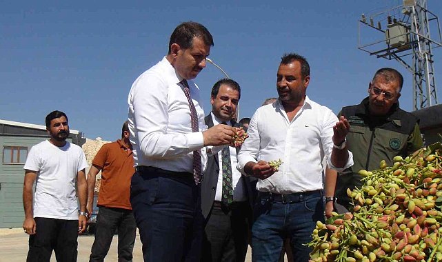 Şanlıurfa'da binlerce çiftçiyi heyecanlandıran proje