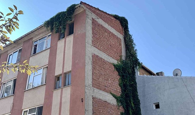 Sarmaşıklar 4 katlı binanın çatısına kadar uzandı