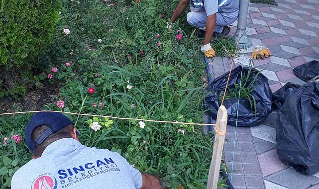 Sincan Belediyesi yeşil alanlarda bakım çalışmaları yapıyor