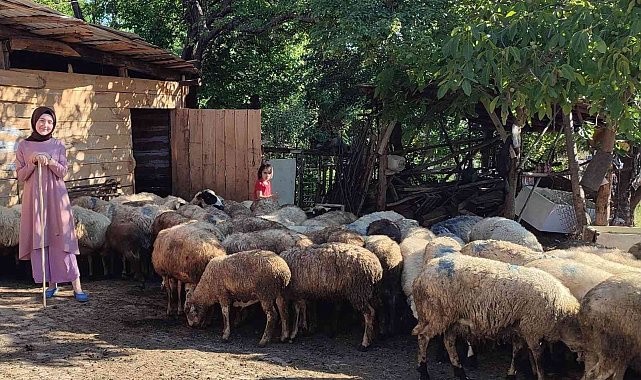 Sinop'ta Uzman Eller projesi başarılı sonuçlandı