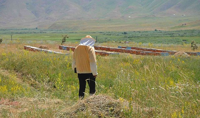 Şırnak'ta 700 ton baldan 150 milyon lira gelir hedefleniyor