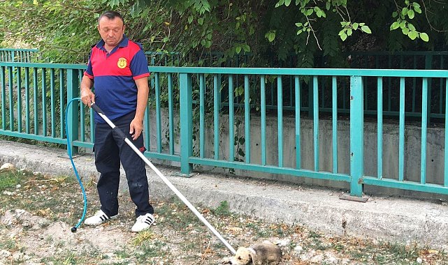 Su kanalına düşen yavru köpeği itfaiye kurtardı