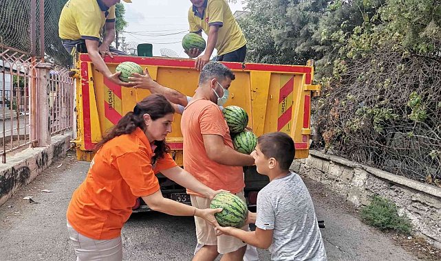 Tarsus Belediyesi, halka 6 ton karpuz dağıttı