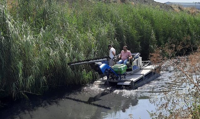 Tekirdağ'da yağmur sineği operasyonu
