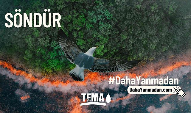 TEMA Vakfı, "Orman yangınlarını önlemek söndürmekten daha kolay"