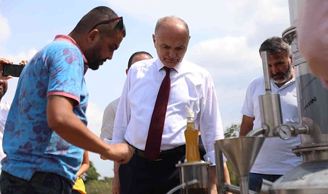 Tıbbi aromatik bitkiler ekonomiye kazandırılıyor