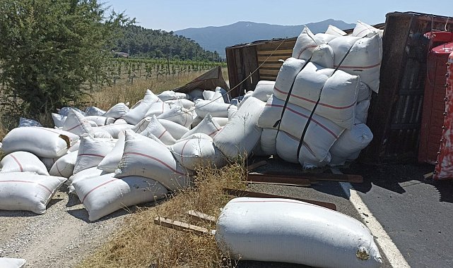 Tonlarca kekik devrilen kamyondan yola saçıldı