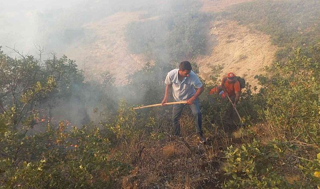 Tunceli'de çıkan örtü yangınına müdahale sürüyor
