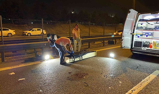 Tuzla TEM'de feci kaza: 1 kişi hayatını kaybetti