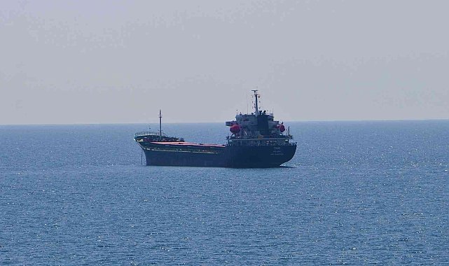 Ukrayna'dan 3 bin ton ayçiçeği taşıyan gemi Tekirdağ'a yanaştı