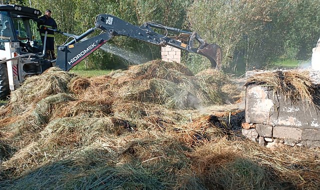 Van'da bin bağ ot yandı